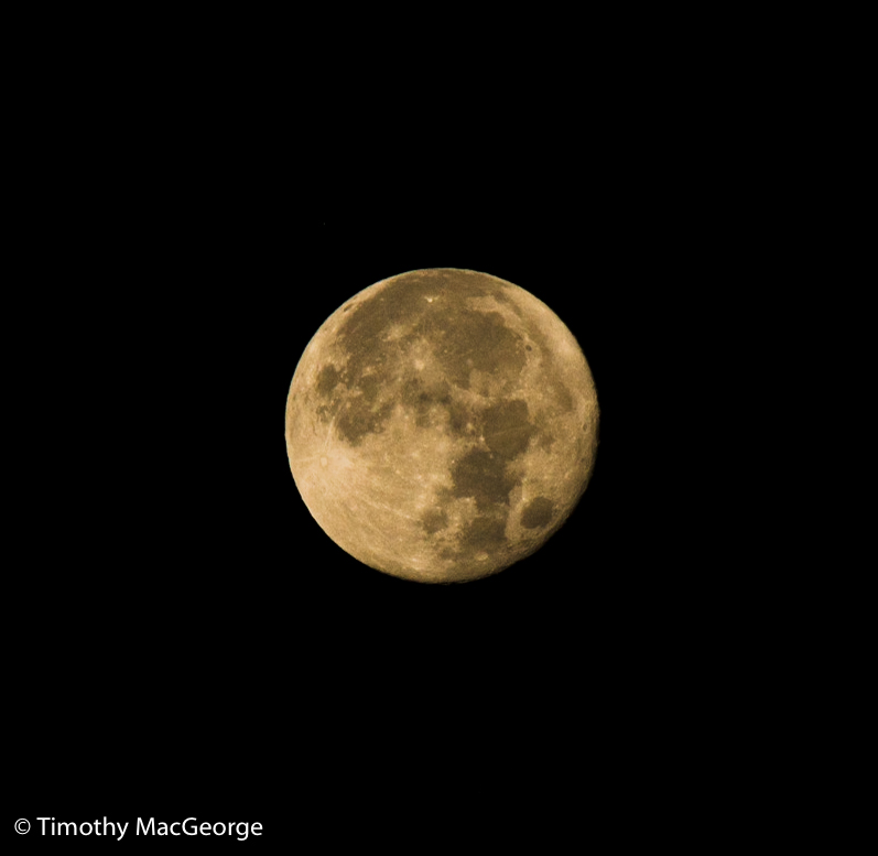 Full Moon - Dec. 26, 2015 (Bonita Beach, Bonita Springs, FL)